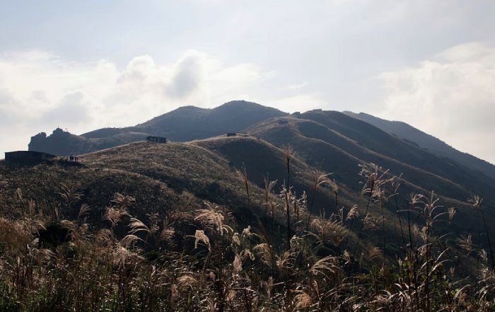 Article Image for Exploring Global Wellness Destinations Beyond the Mainstream