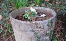 Article Image for How to Create an Effective Home Composting System