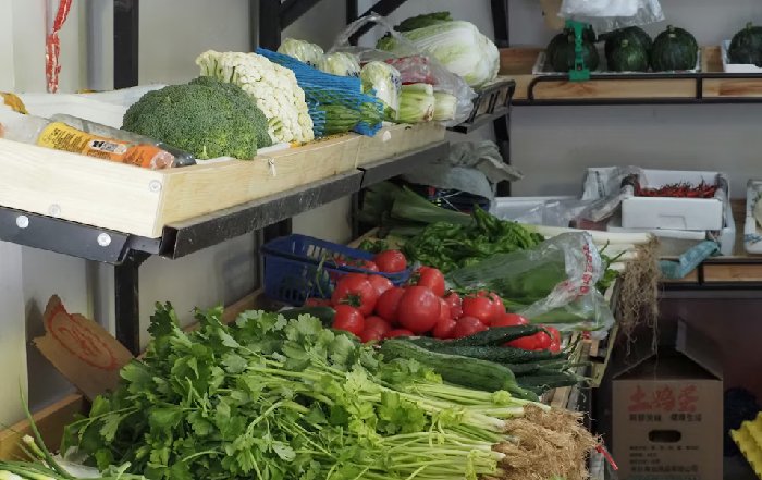 Article Image for Simple Strategies to Dramatically Reduce Household Food Waste