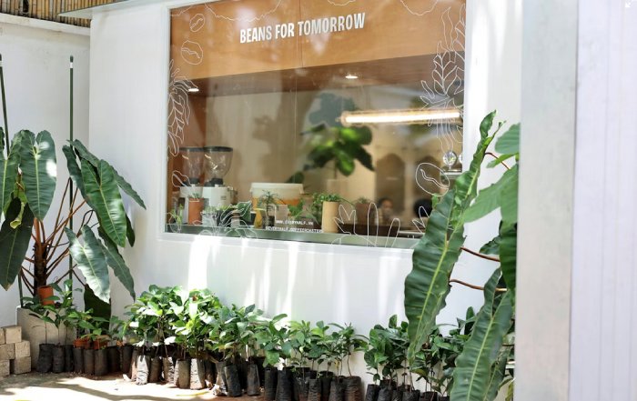 Article Image for Sustainable Practices Reshaping Salons and Wellness Brands