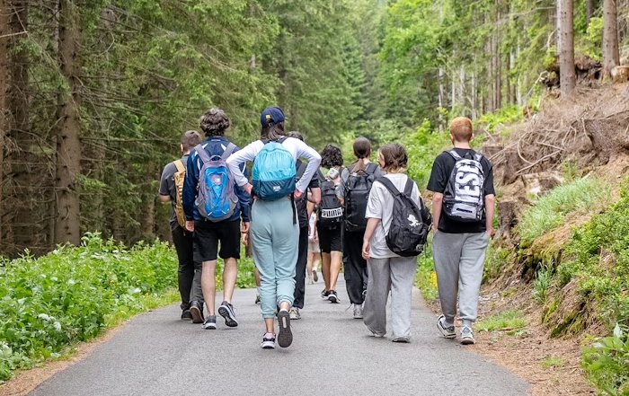 Article Image for Sustainable Travel: How to Explore the World Consciously