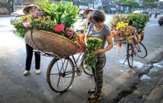 Article Image for The Business of Beauty in a Global Wellness Economy