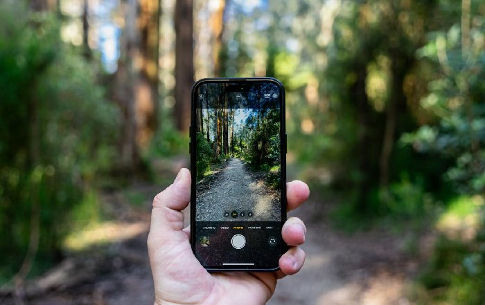 Article Image for The Hidden Environmental Cost of Your Digital Life