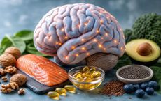 Article Image for The Importance of Omega-3s for Brain Health
