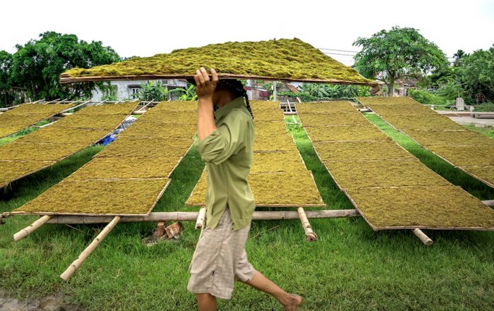 Article Image for The Role of Community in Sustainable Wellness Living