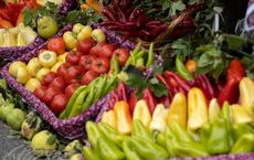 Article Image for The Shift Toward Food as Preventative Medicine