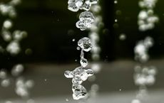 Article Image for The Truth About Bottled Water and Sustainable Alternatives